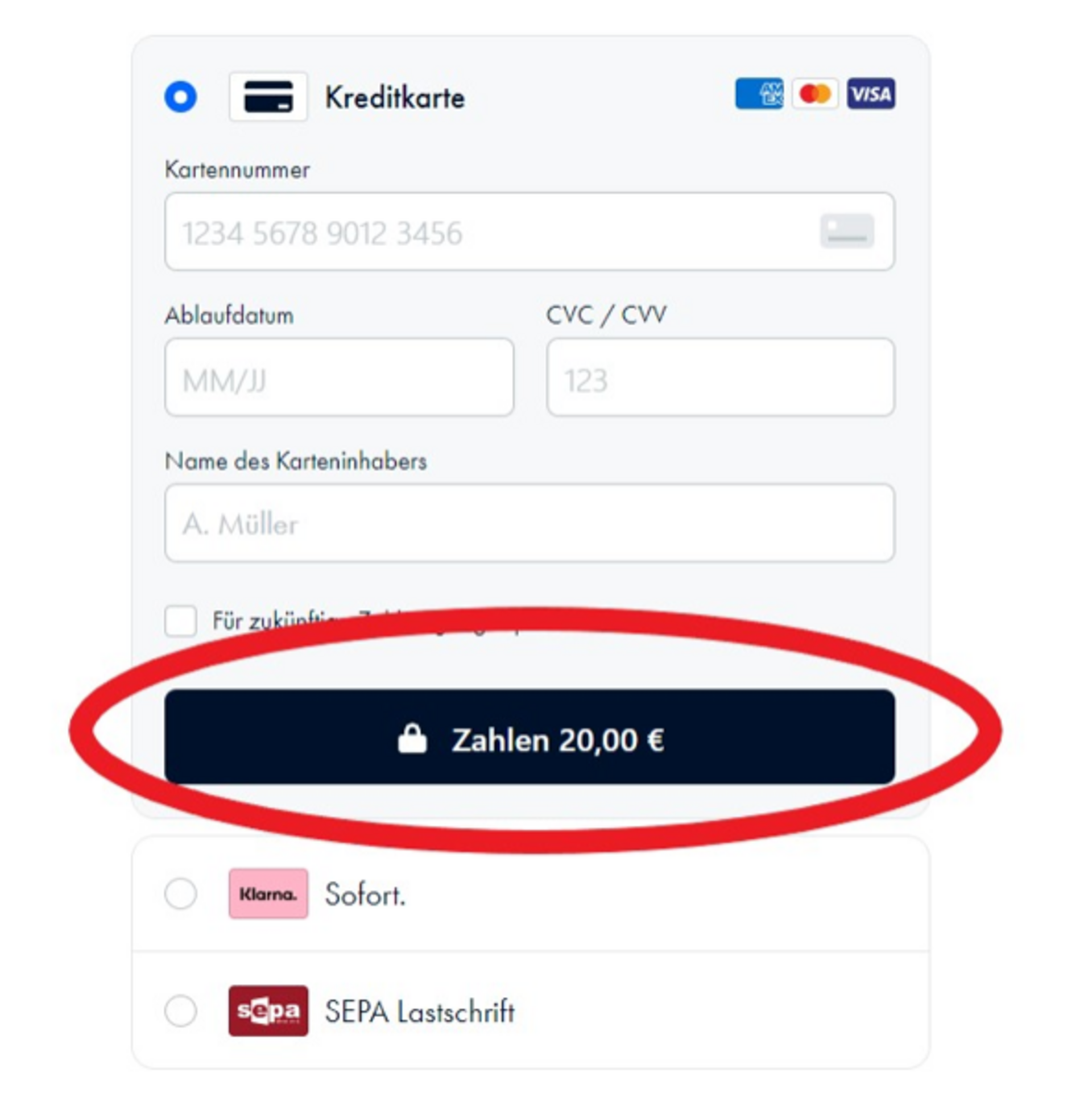 Bezahlung durchführen. Klick um Bild zu vergrößern (öffnet Dialog).